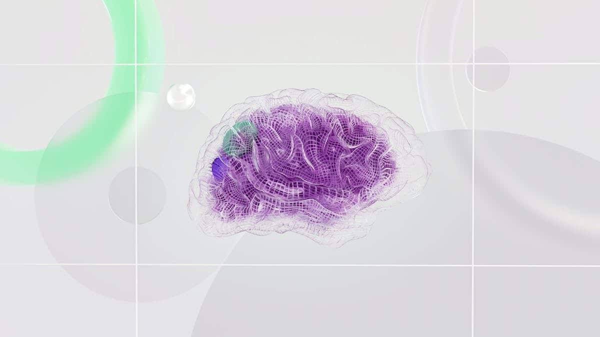 cerveau  apprentissage